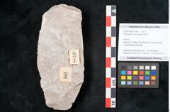 Foto (Objekt + Etikett) von Dictyopteris brongniarti Gutb. (NHMW-GEO-2024-0188-10785)